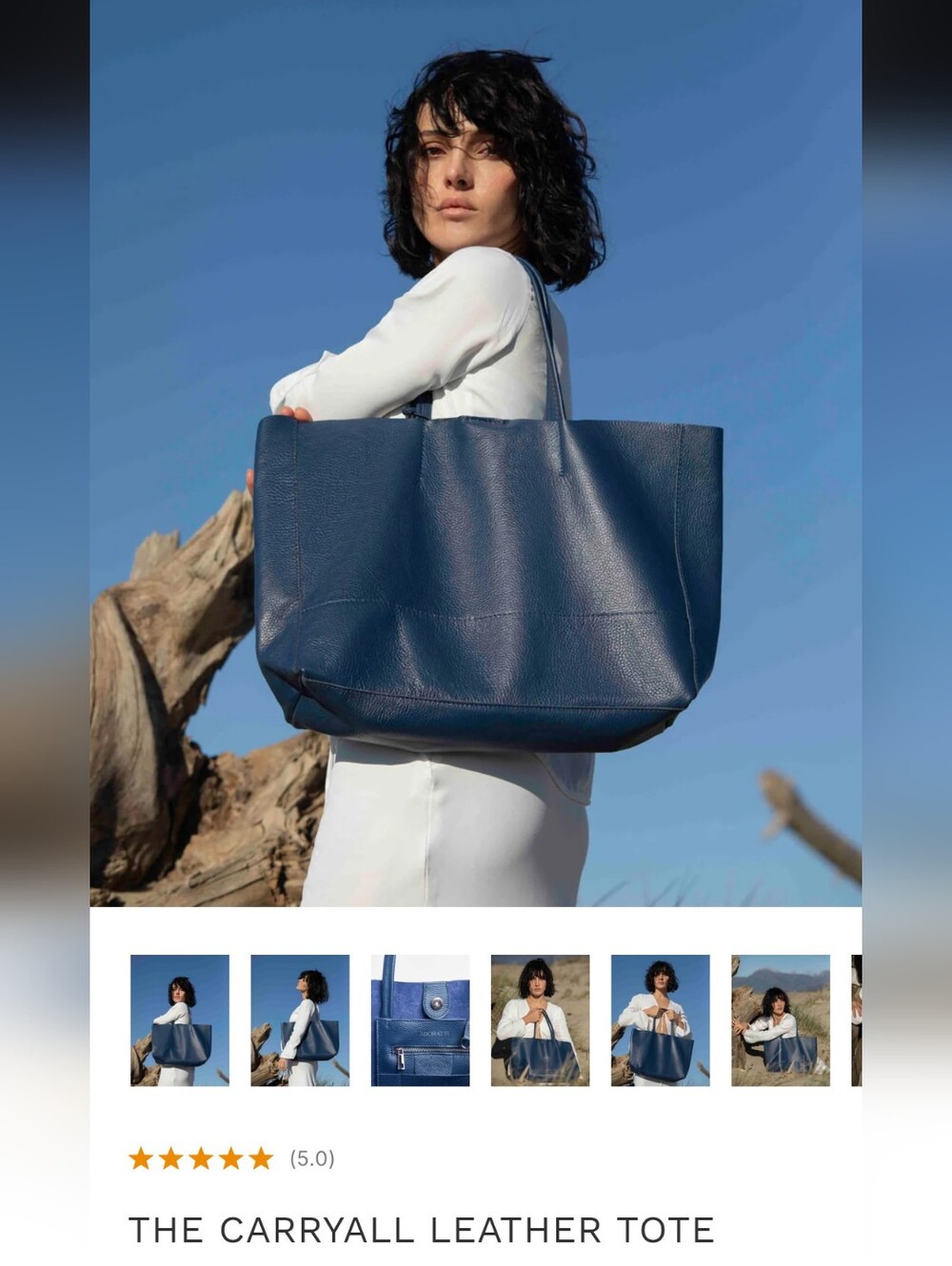 Adoratti Blue The Carryall Leather Tote From Italy